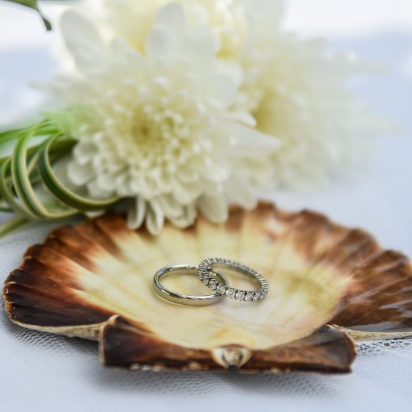 beautiful rings in a shell with floral background
