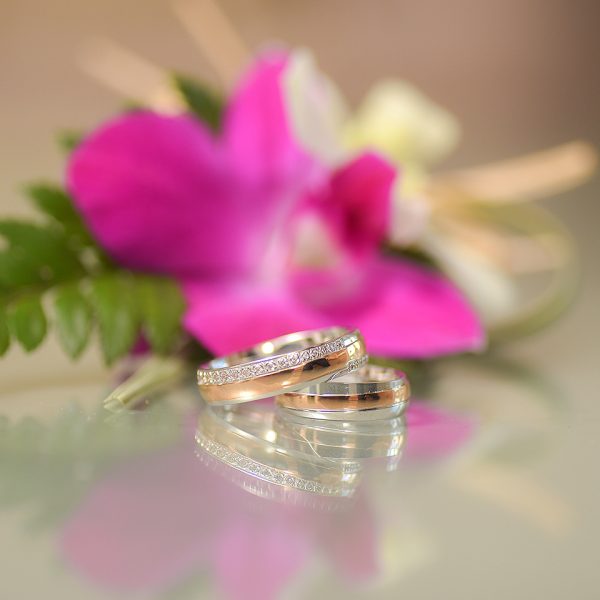 reflection wedding rings with rose flower in background