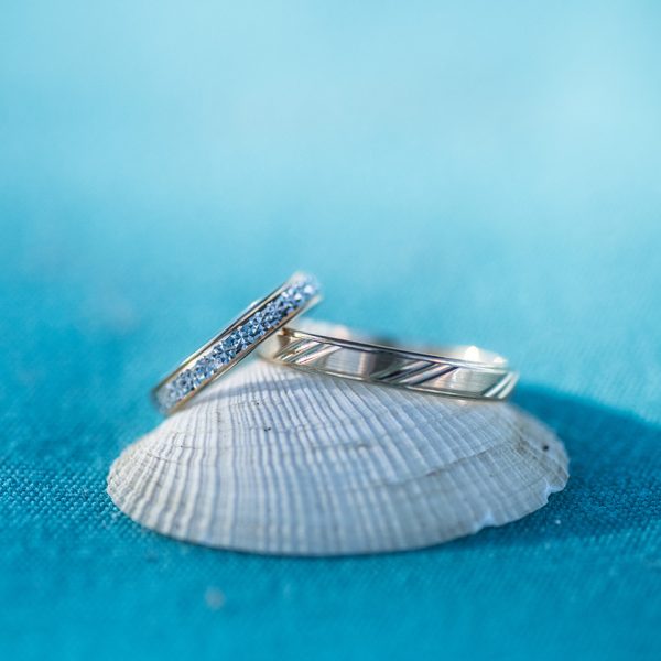 nice wedding rings on shells