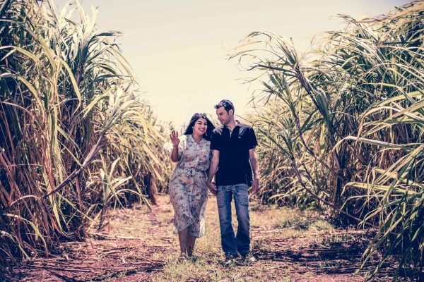 Couple walking closely in sugarcane field 